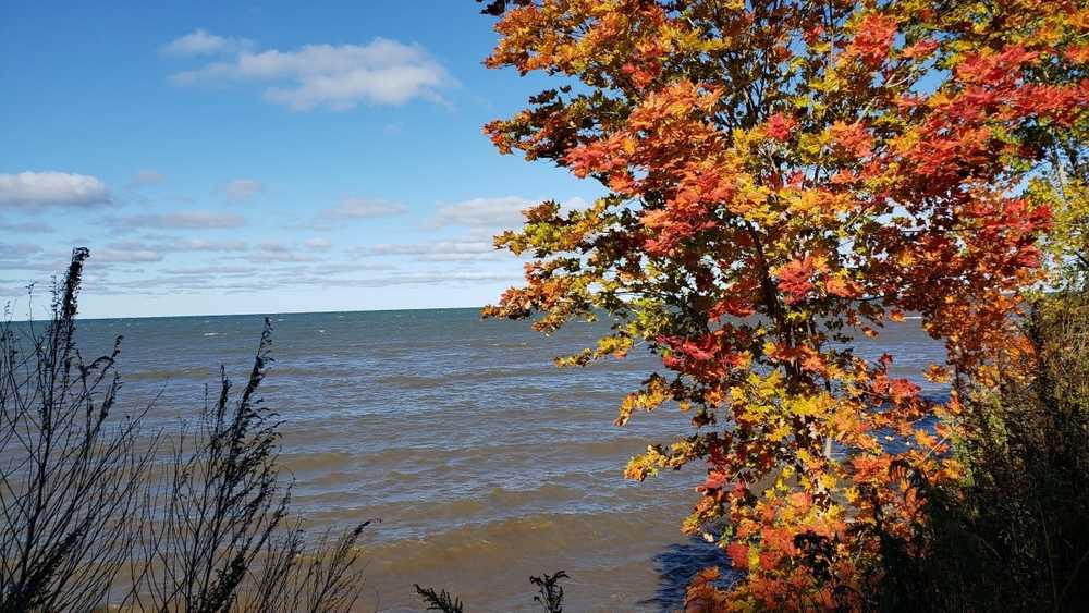Niagara Shores Campground and Conference Center, Appleton, New York - Photo 4