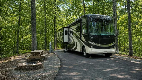 Area C/D RV: Standard Pull-Thru or Long Site - No Sewer — image 1 of 2