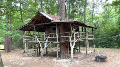 Tree House — image 1 of 9
