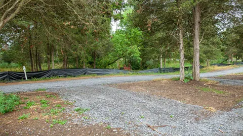 Rustic Tent Site (AO) — image 2 of 3