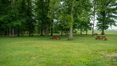20 AMP Electric Tent Site — image 1 of 1