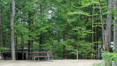 Deluxe RV Site — image 2 of 5