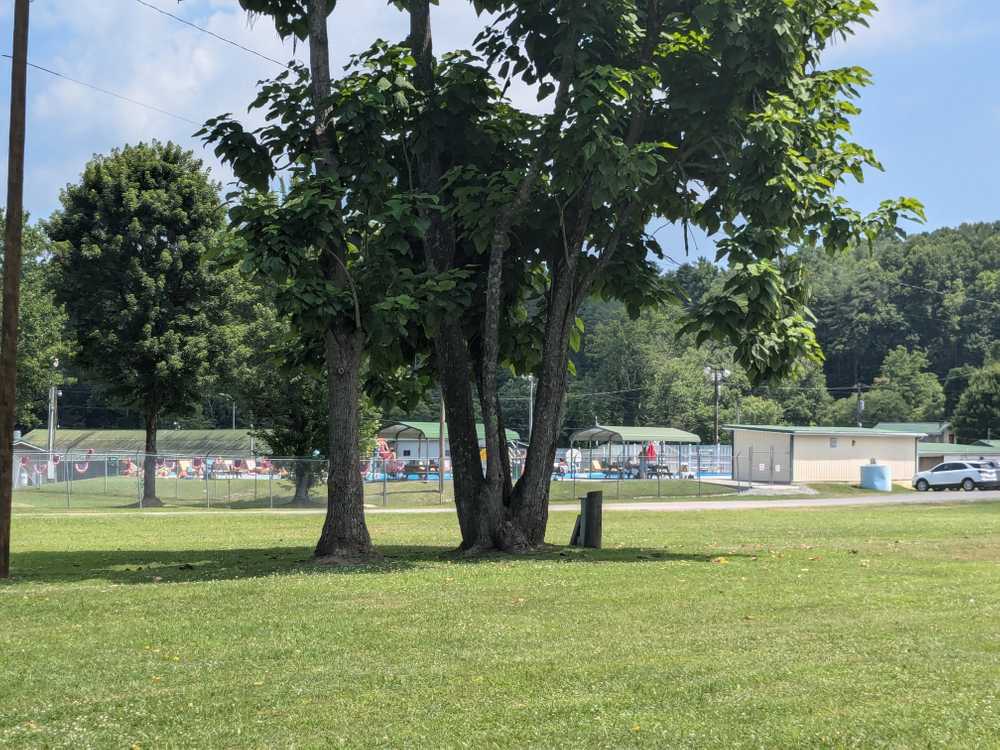 Park Image 13