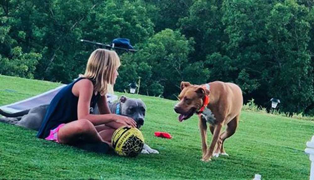 The Riviera Rv Resort, Sunrise Beach, Missouri - Photo 4