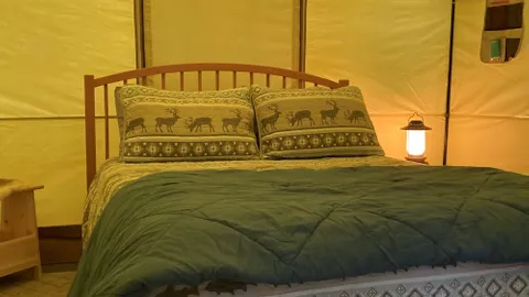 Glamping Tent Knotty Pine — image 2 of 8