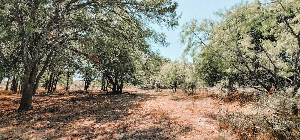 Oasis Campgrounds - Main Photo