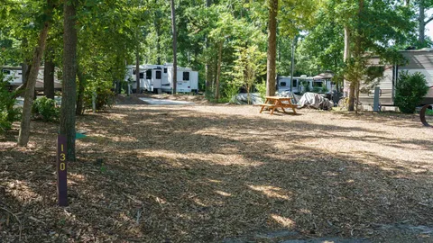 Premium Pull-Thru RV Site — image 5 of 5