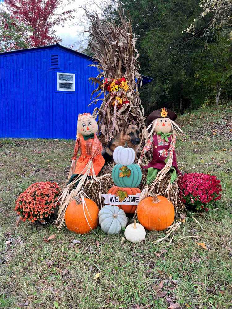 Foggy Bottom Campground, Jamestown, Kentucky - Photo 2