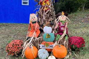 Foggy Bottom Campground – photo 2