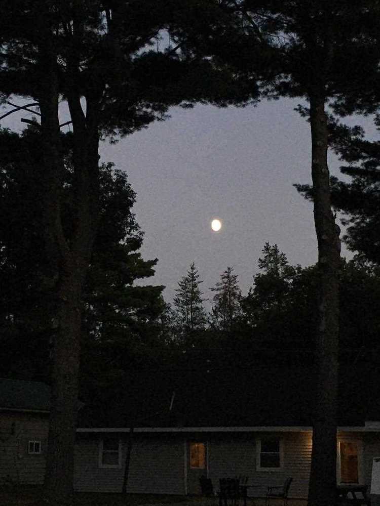 Tippy Dam Campground and Cabins Wellston, Michigan Campspot