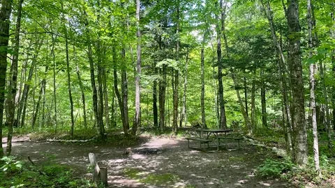Tent Site on the River - Normal — image 1 of 6