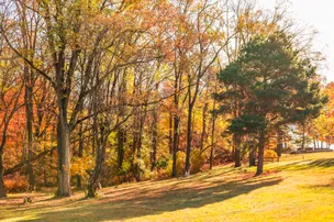 Valley View Campground – photo 5