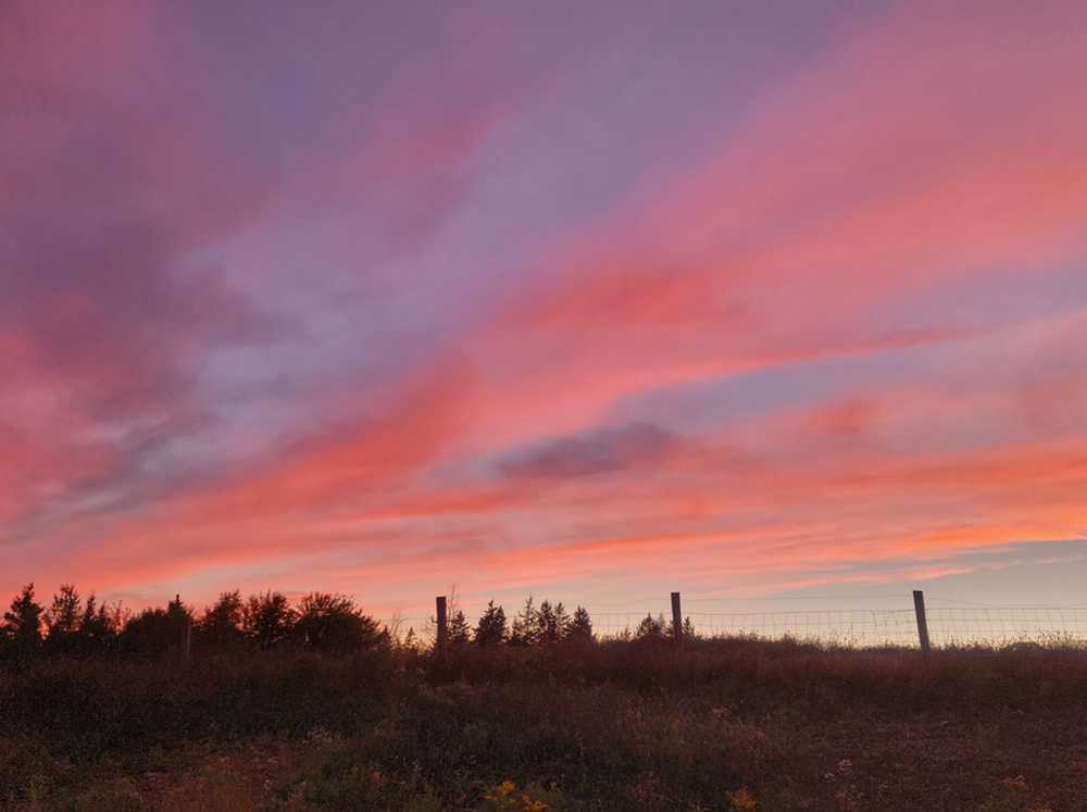 Wild Nature Campground - Photo 2
