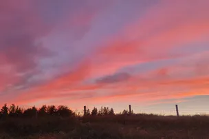 Wild Nature Campground – photo 2