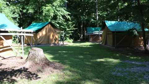 Camp Hoover - Tall Timber Tents — image 1 of 1