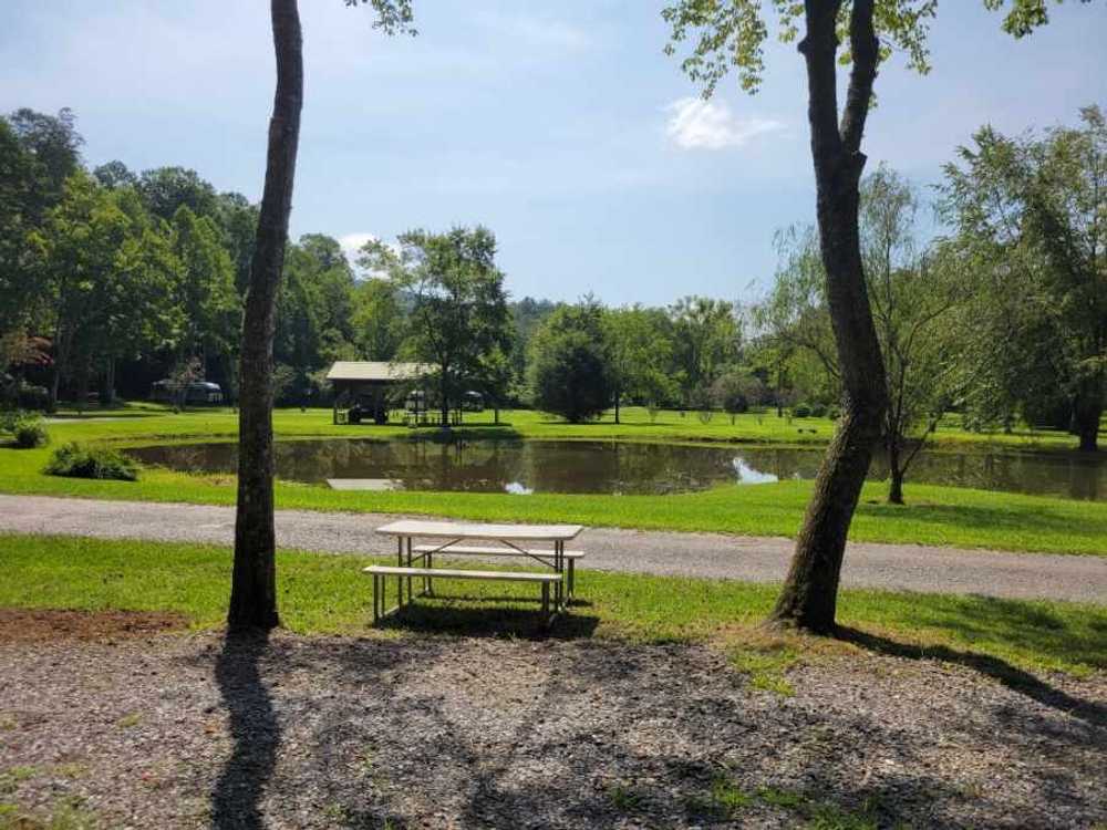 Persimmon Creek RV Park, Murphy , North Carolina - Photo 3
