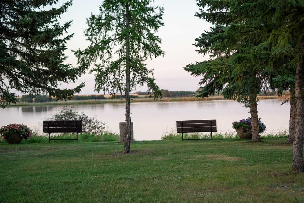 Park Image 6