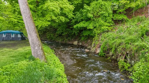 Creekside Basic Tent — image 2 of 3