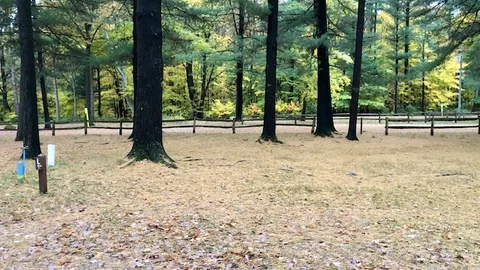 Basic Site — image 1 of 3