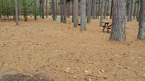 Primitive Tent Site — image 1 of 1