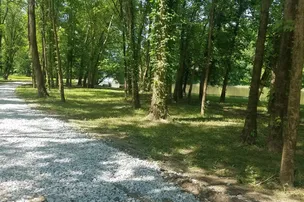Lawrence Creek Campground – photo 2