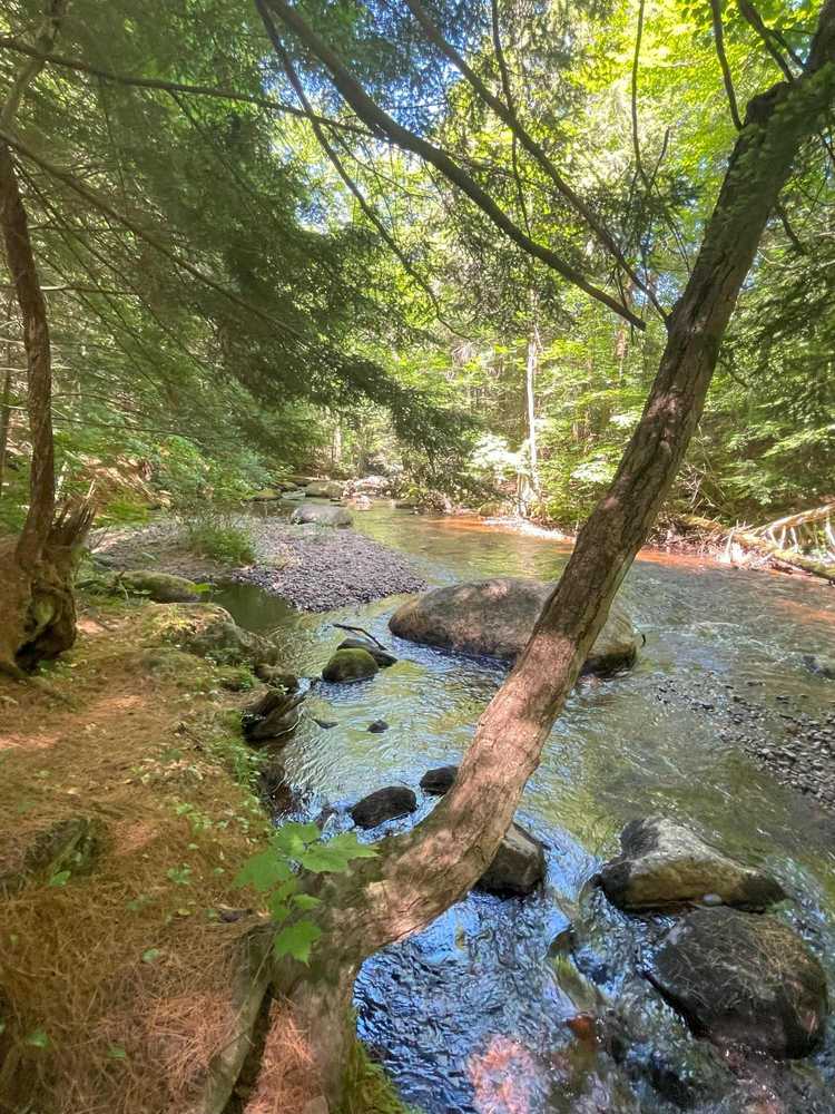 Singing Waters Campground, Greig, New York - Photo 2