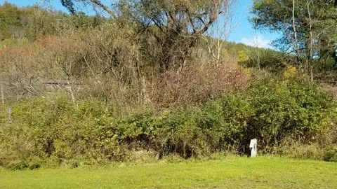 Transient, Tree Line, West Campsite — image 1 of 1