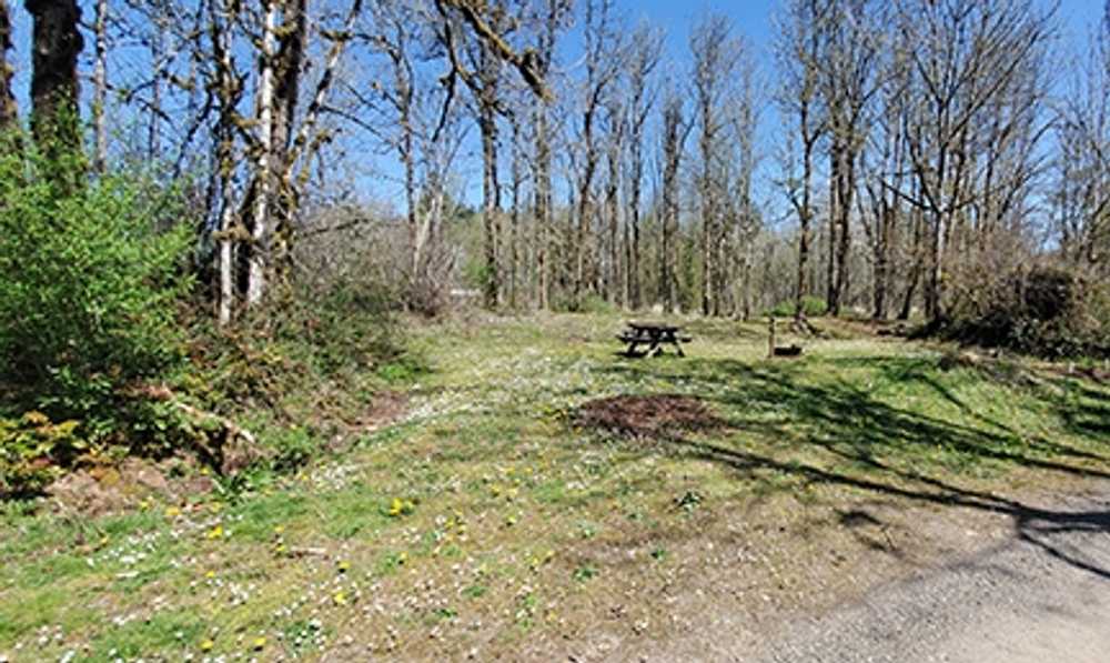 Barrier Dam Campground, Salkum, Washington - Photo 4