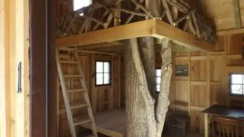Tree House — image 2 of 6