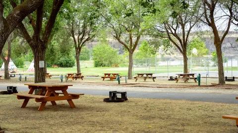 Standard W/E Tent Sites — image 1 of 3