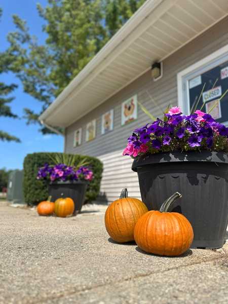 Pumpkin Palooza Weekend