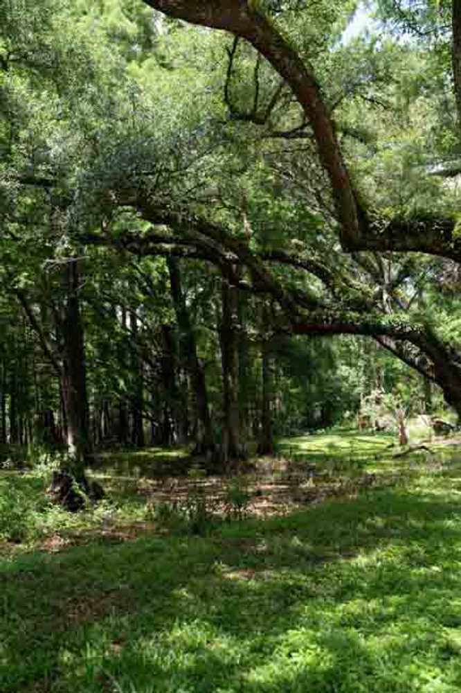 Park Image 27
