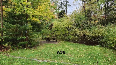 Primitive Tent/RV Site — image 9 of 9