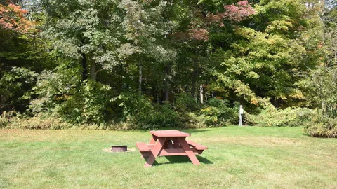 20/30 Amp Back-In Field Site — image 2 of 5