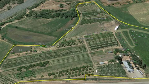 Upper Pond Campsites — image 2 of 9