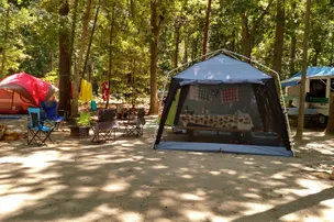 Adventure Bound Cape May – photo 4