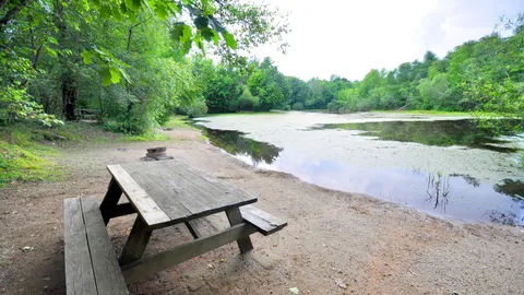 Standard Tent Site — image 6 of 6