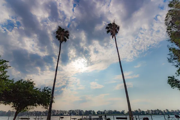 Delta Marina Yacht Harbor – photo 1