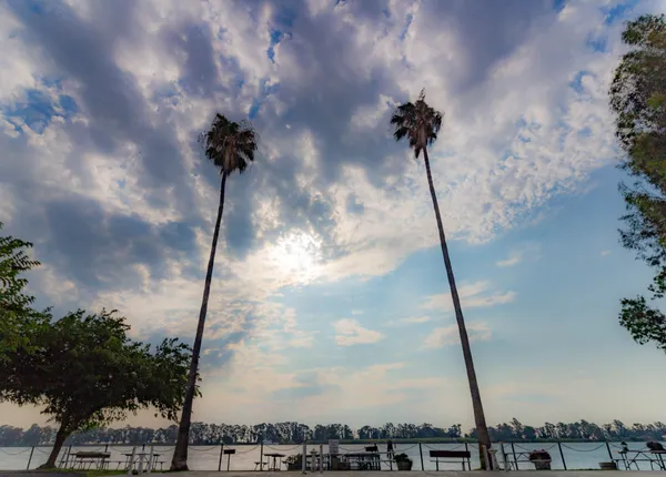 Delta Marina Yacht Harbor campground
