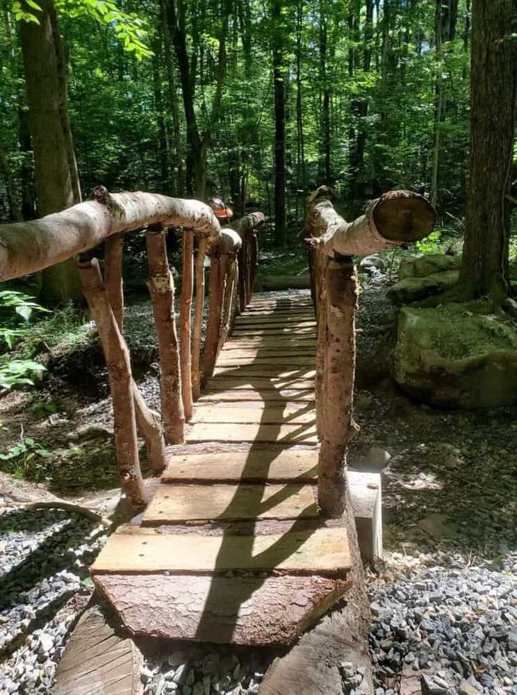 White Pines Campsites, Barkhamsted, Connecticut - Photo 2