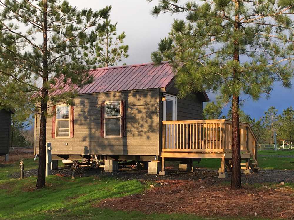 Yogi Bear's Jellystone Park™ Camp-Resort: Asheboro - Photo 4