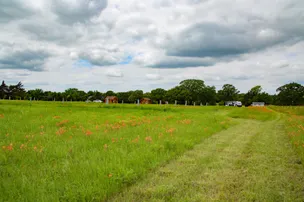 Queen and Duke RV Resort – photo 4