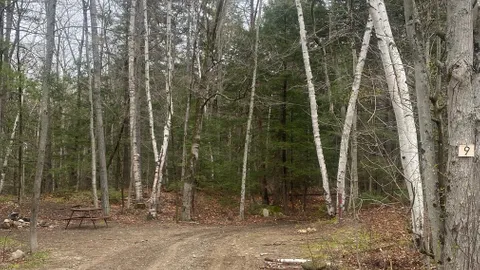 30 Amp Back In RV Site W/E/S — image 2 of 2