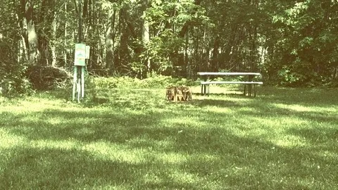 Primitive Tent — image 1 of 1