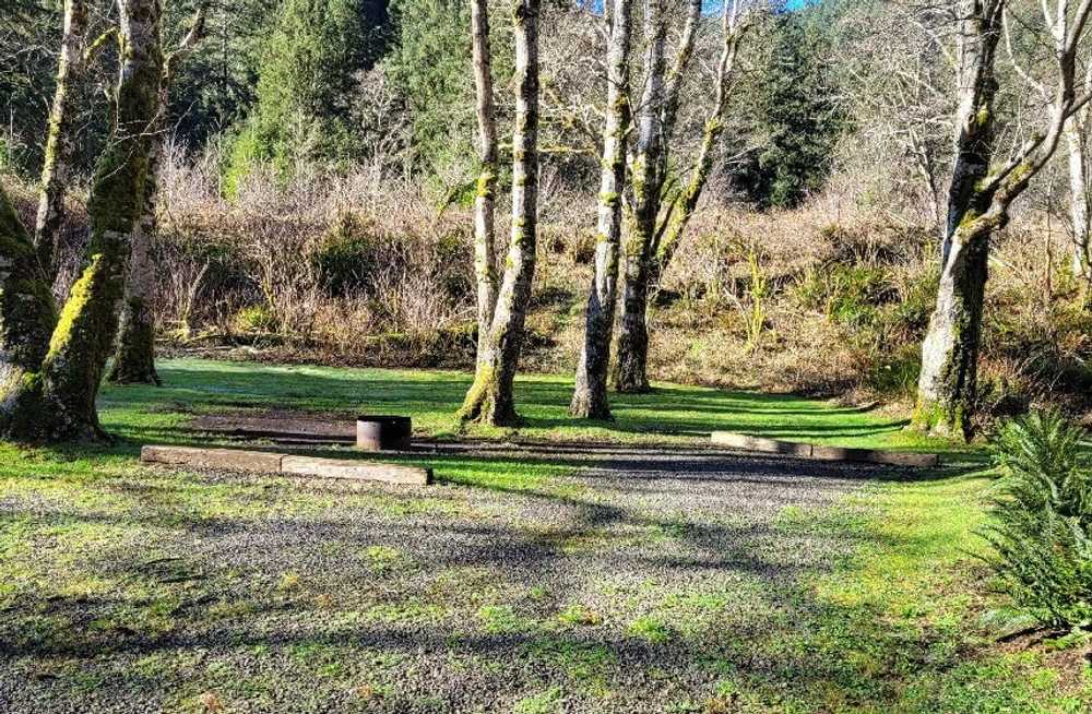 Kilchis River County Campground - Photo 2