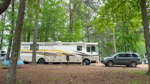 50 Amp Standard Pull Thru RV Site — image 1 of 1