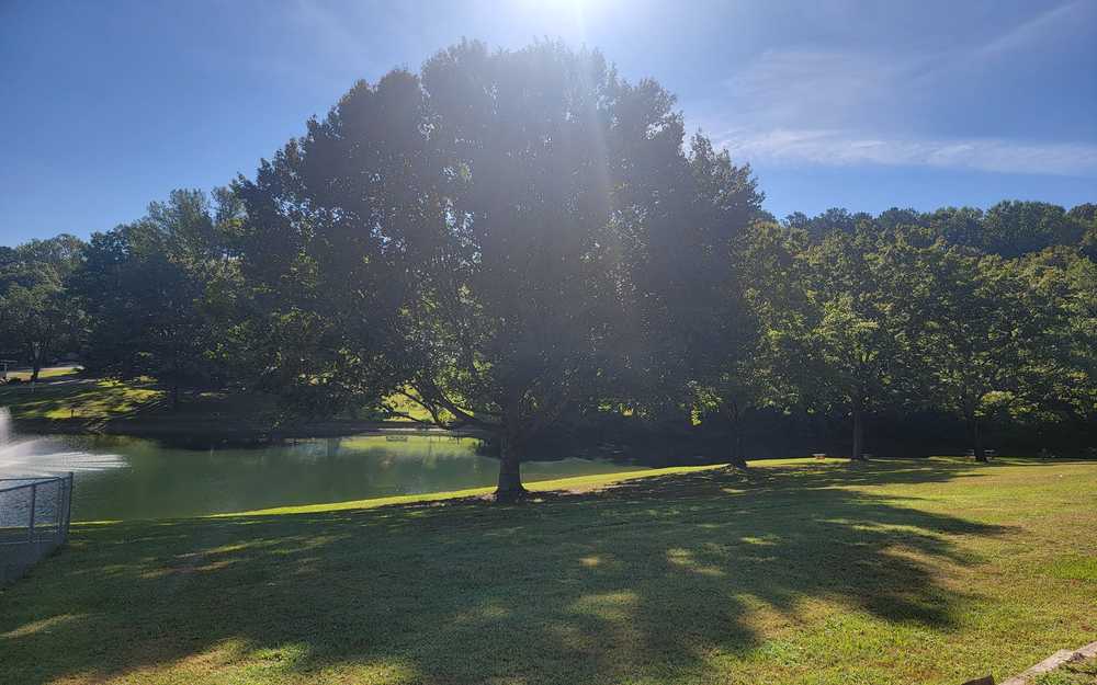 Park Image 8