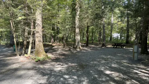 20/30/50 AMP Forest RV Site — image 13 of 13