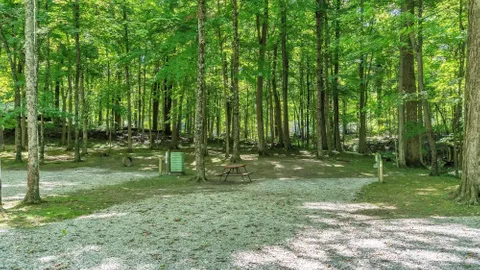 Standard Back-In RV Site — image 6 of 6