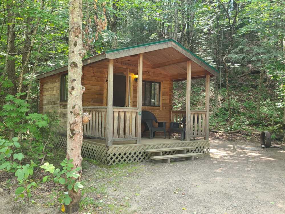 Cabin- One Room, Wooded